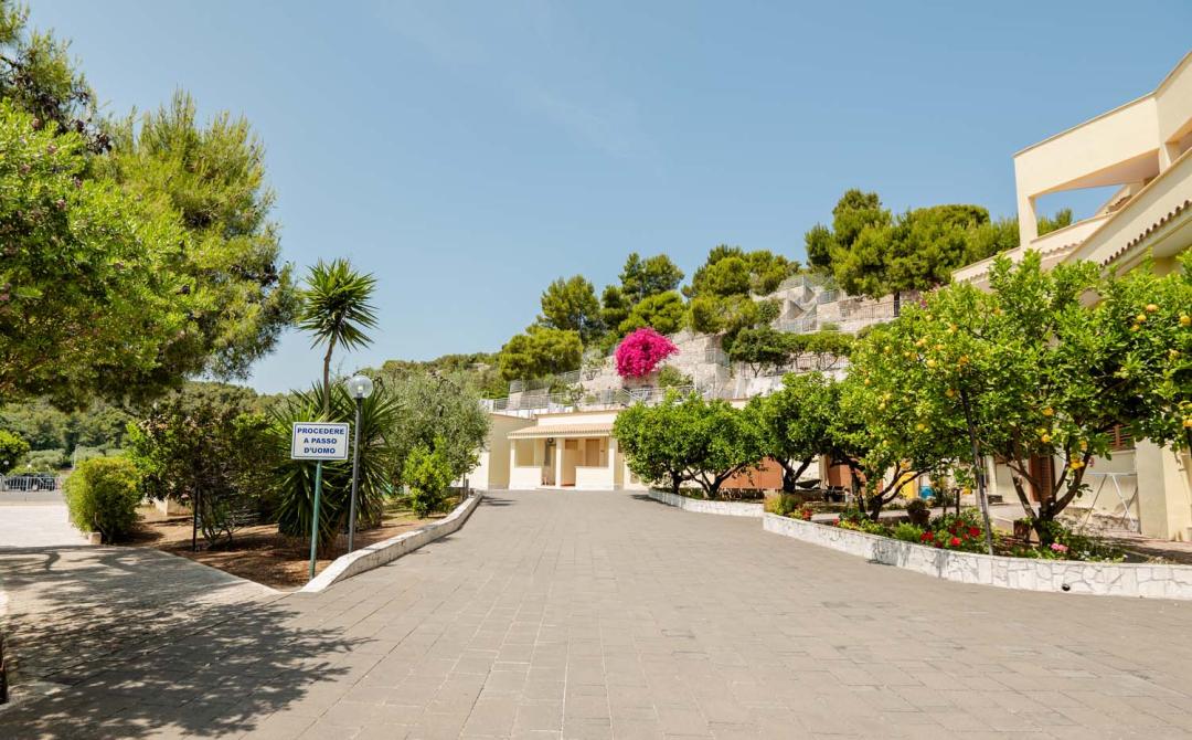 Viale alberato con fiori colorati e cielo sereno, atmosfera tranquilla e accogliente.
