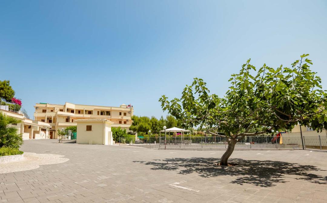 Cortile soleggiato con albero solitario e edifici chiari sullo sfondo.