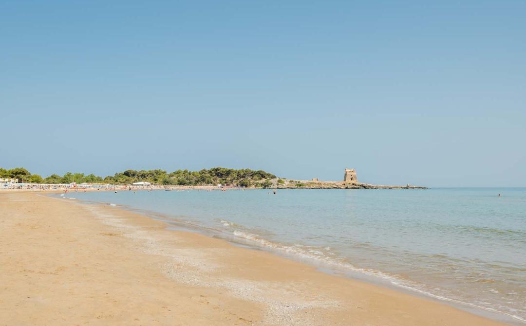 Spiaggia dorata, mare calmo, torre antica, cielo limpido: un'oasi di pace.