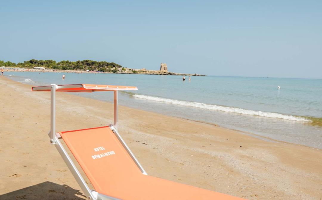 Spiaggia serena, mare calmo, sole splendente e relax totale.