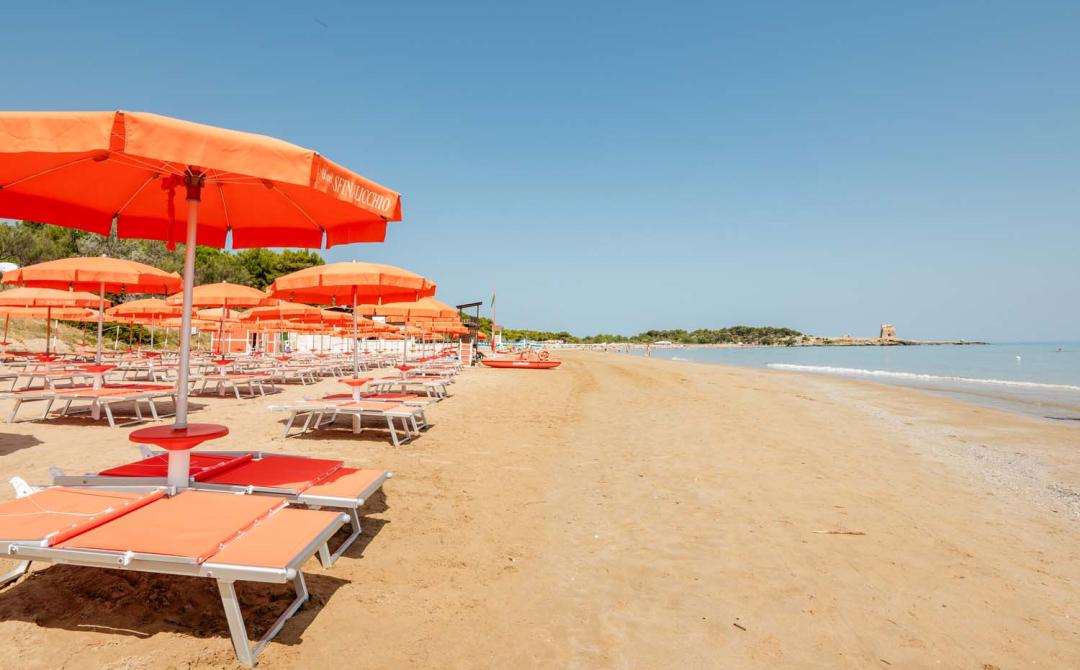 Spiaggia serena con ombrelloni arancioni, mare calmo e cielo limpido.